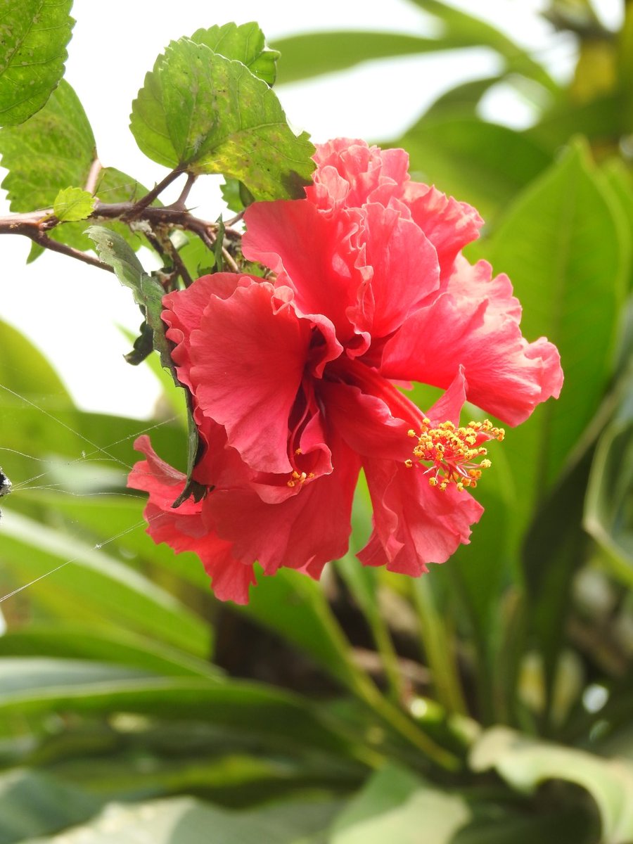 #माझाक्लिक