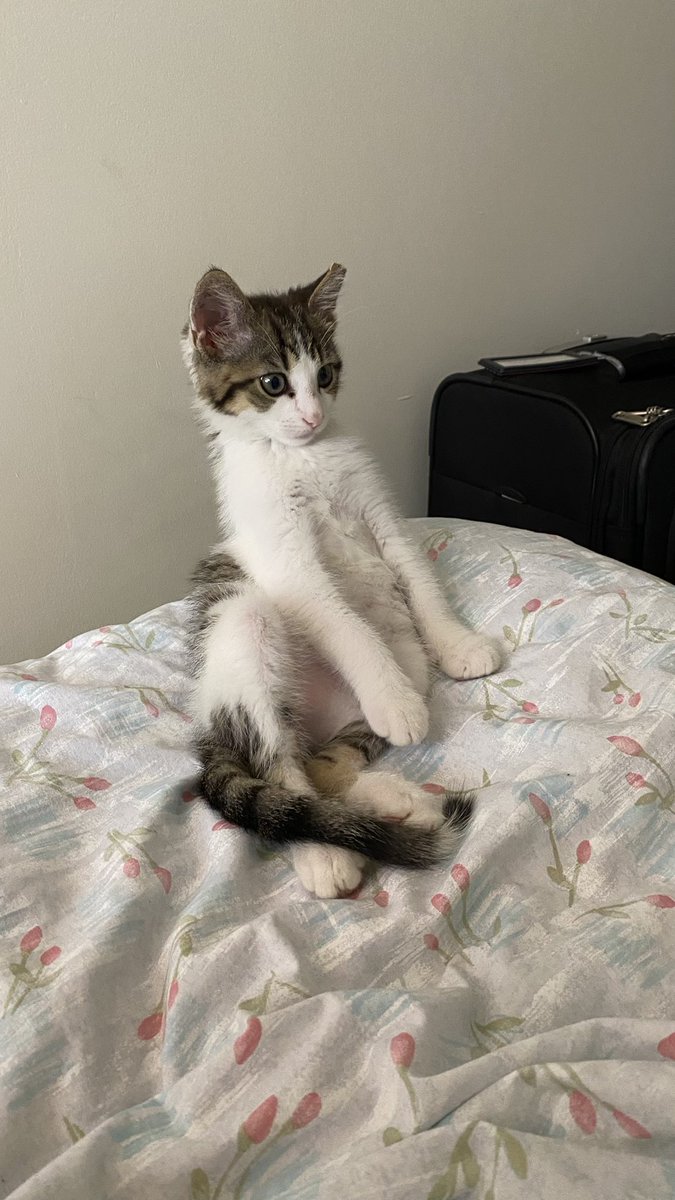 Rob Rawlings tweet media