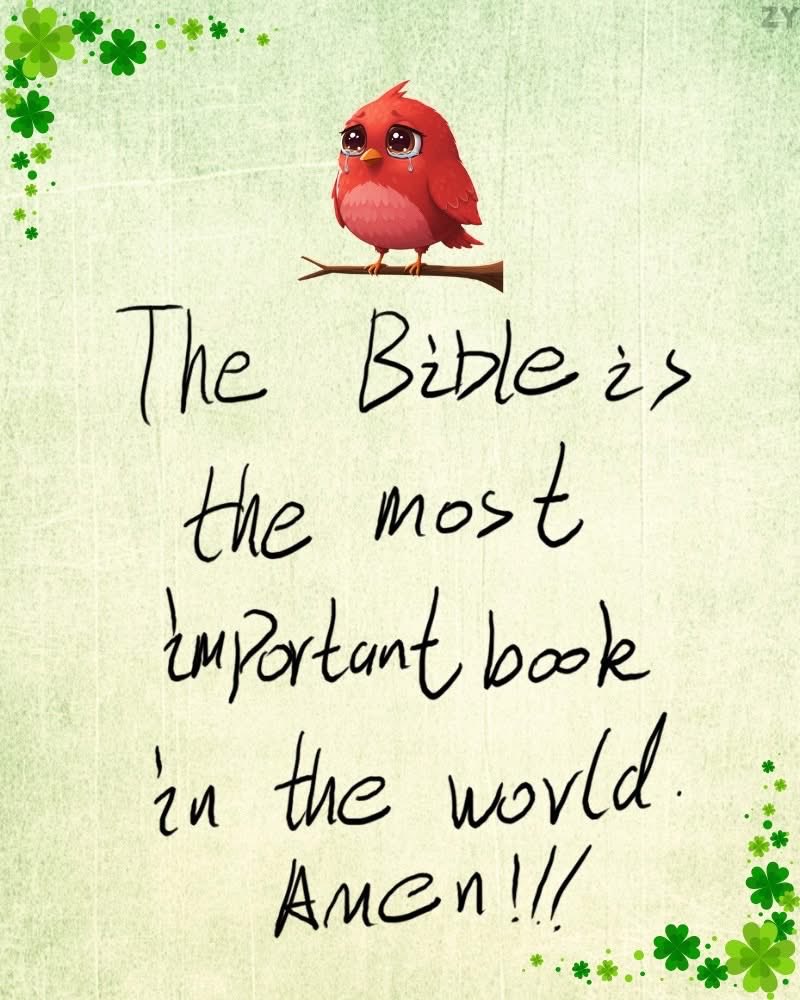 Barbara jeff (@barbarajeff55) on Twitter photo 