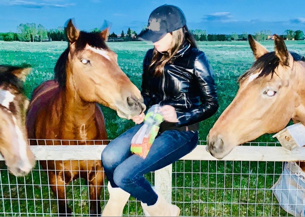 BornFree_isms's tweet image. I still prefer horses above all things…🤍🤍🤍