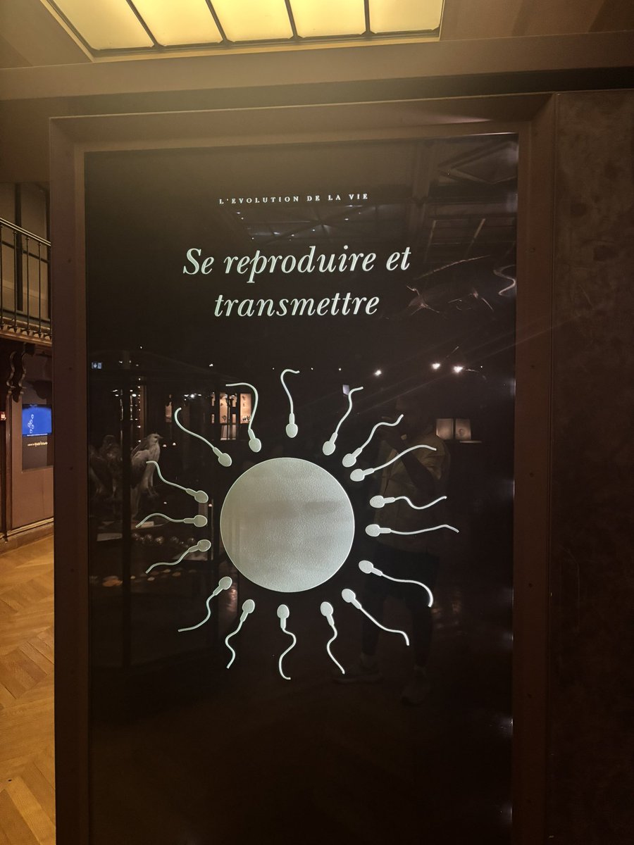 gauravmittle's tweet image. Spotted some incredible exhibits at the National History Museum in Paris during #ESHRE2025.

The pièce de résistance? Those magnificent dinosaur skeletons of course. 

#Paris #ReproScience #ReproMed
