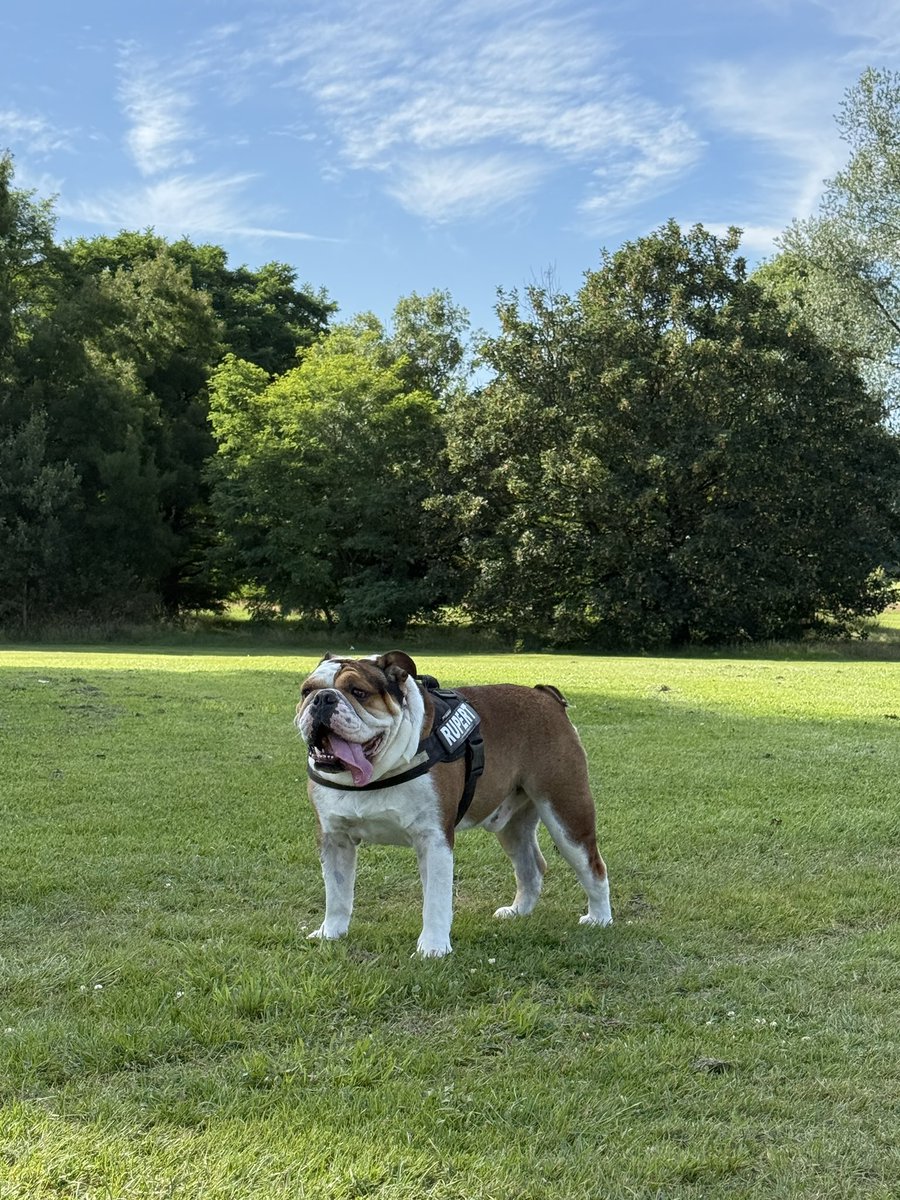 Christian Macutkiewicz 🏳️‍🌈 (he/him) tweet media