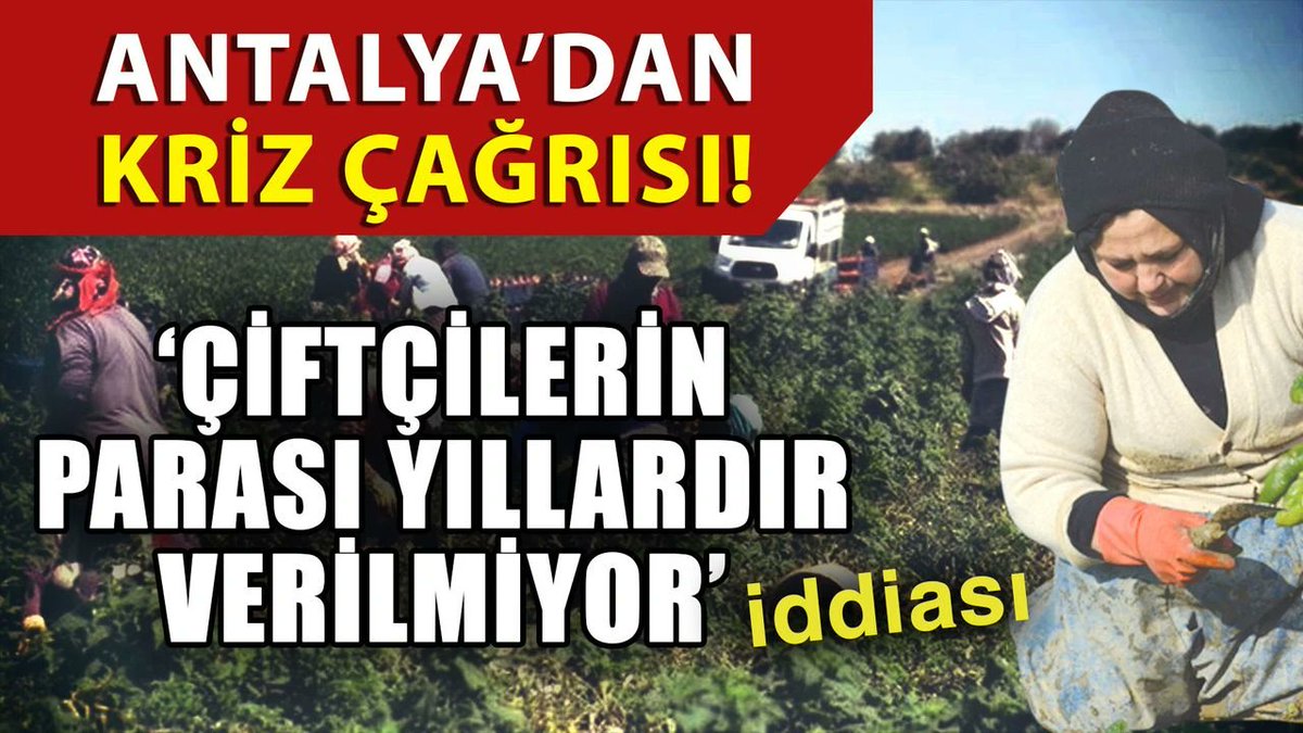 Antalya’dan kriz çağrısı! ‘Çiftçilerin parası yıllardır verilmiyor’ iddiası antalyagundem.com.tr/antalyadan-kri…