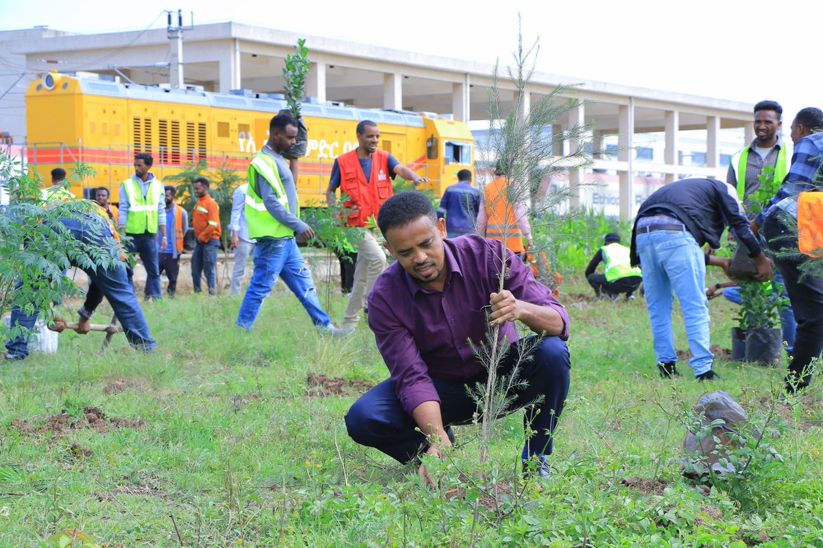 TakeleUma's tweet image. በመትከል ማንሰራራት ፤

በመትከል ማንሰራራት በሚል መሪ ሃሣብ የሚካሄደውን የዘንድሮ ችግኝ ተከላ መርሃግብር ከሰበታ እስከ ጂቡቲ ባሉ የባቡር መስመሮች ለማከናወን አቅደናል፡፡

ዛሬ ከእንዶዴ ጀምረናል።