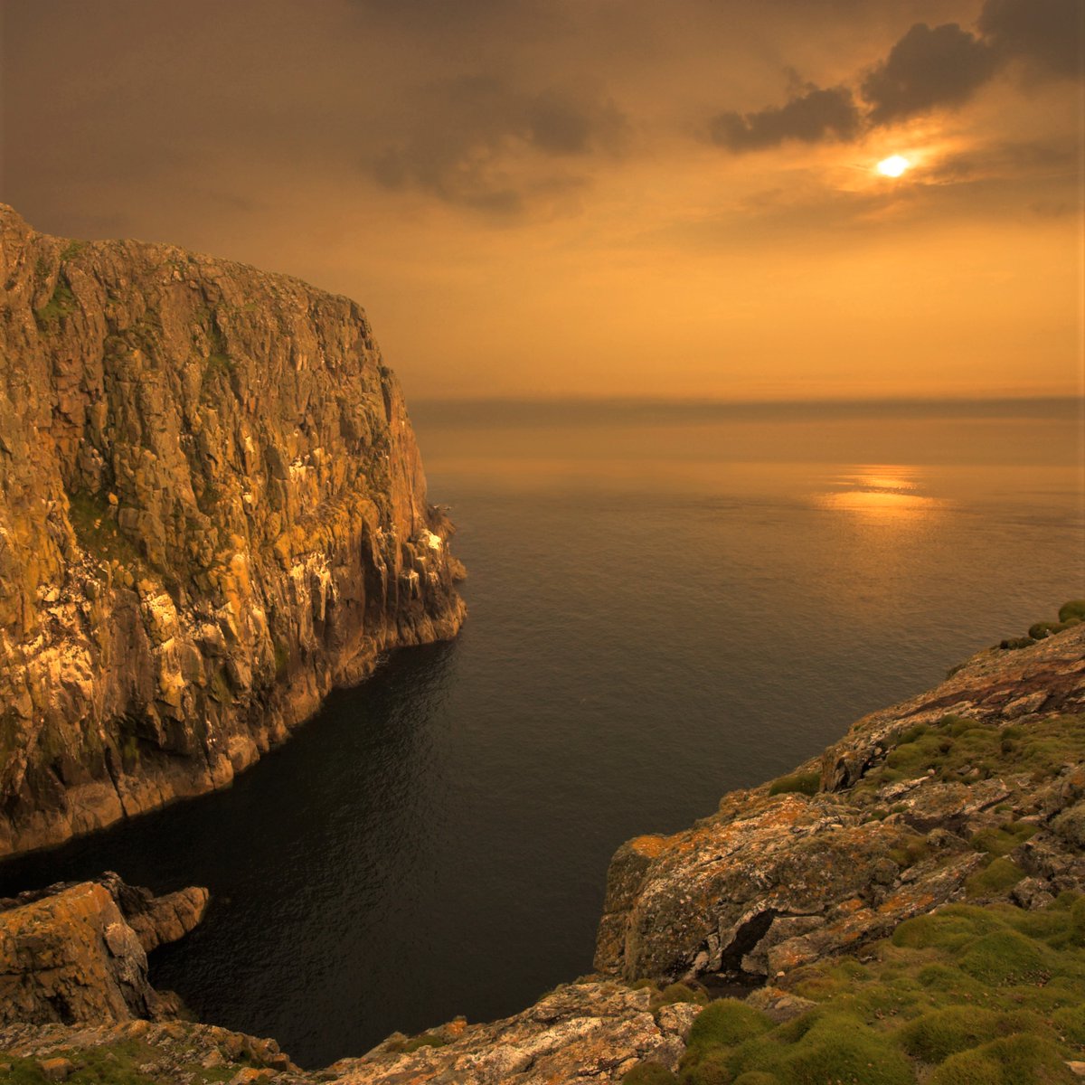 On #WalesNatureWeek, what better excuse to go visit an RSPB Cymru reserve?

Ar #WythnosNaturCymru, pa well esgus i ymweld ag un o warchodfeydd RSPB Cymru?

👉 brnw.ch/21wU03B

(📸 : RSPB Ynys Dewi / Ramsey Island - Ben Hall)