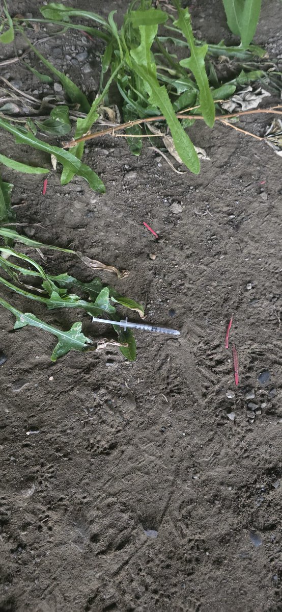 CollingwoodcpcC's tweet photo. 2/3
@CollingwoodCPC
Our 2nd #Patrol, #Team #MountPleasant, on this Tuesday night, July 8th, did an extensive check of #CommercialDrive.
They noted damaged chained links fence,
collected numerous
#UsedNeedles & #Graffiti.
They also patrolled covered areas.
#CommunityCPC at work. https://t.co/dcvgs1nkvj