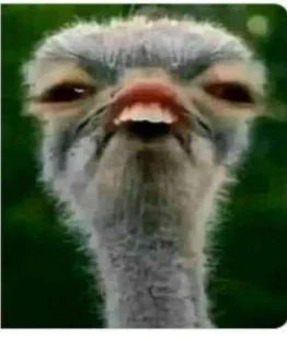 The njundishiare is under attack 🤣🤣🤣🤣
#WeAreAllKikuyus