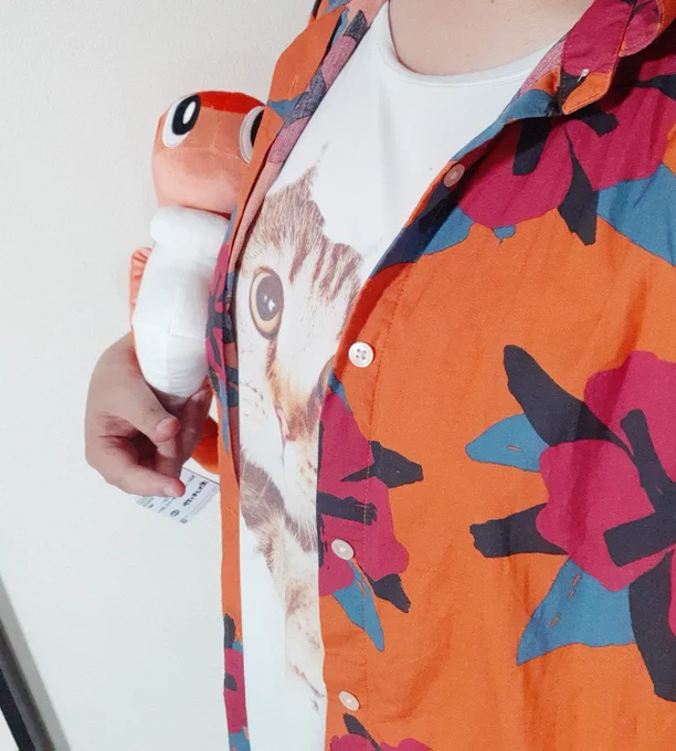 買い物行く道中で、下校中の小学生から 「あっ猫の服だ!かわいい」 って言われちゃった