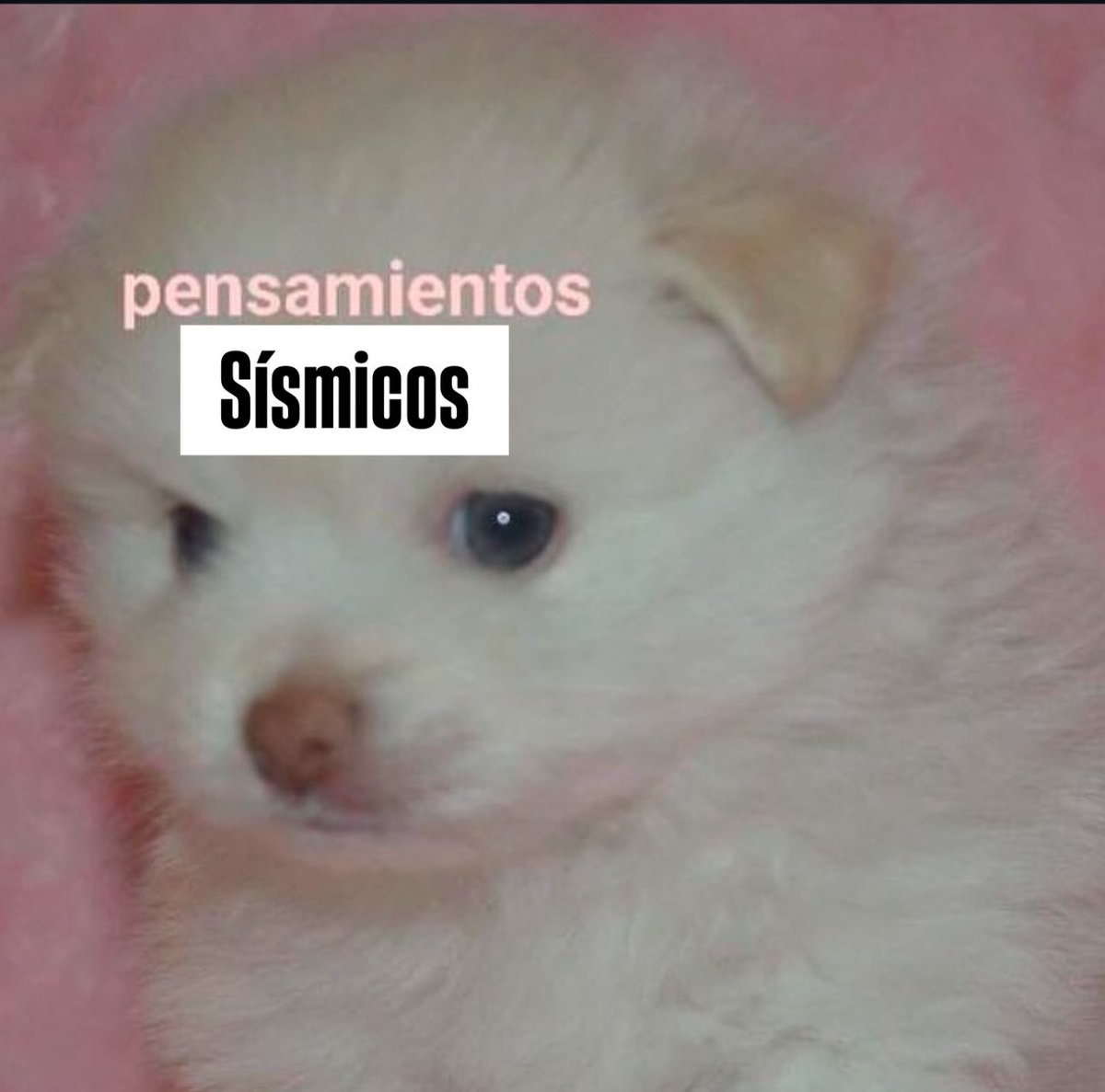 Andreaofftopic's tweet image. :(