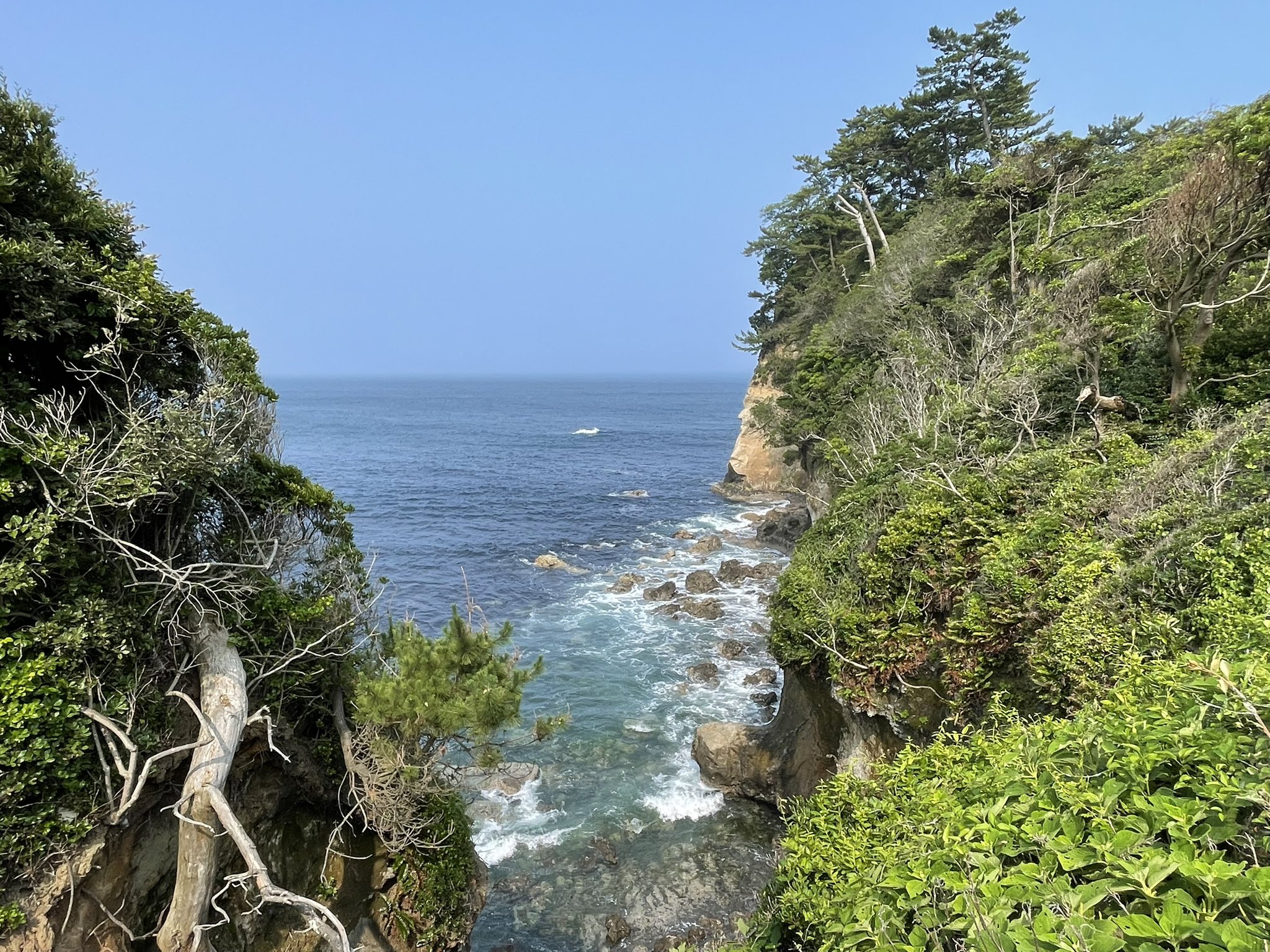 平山郁夫美術館 on X: 