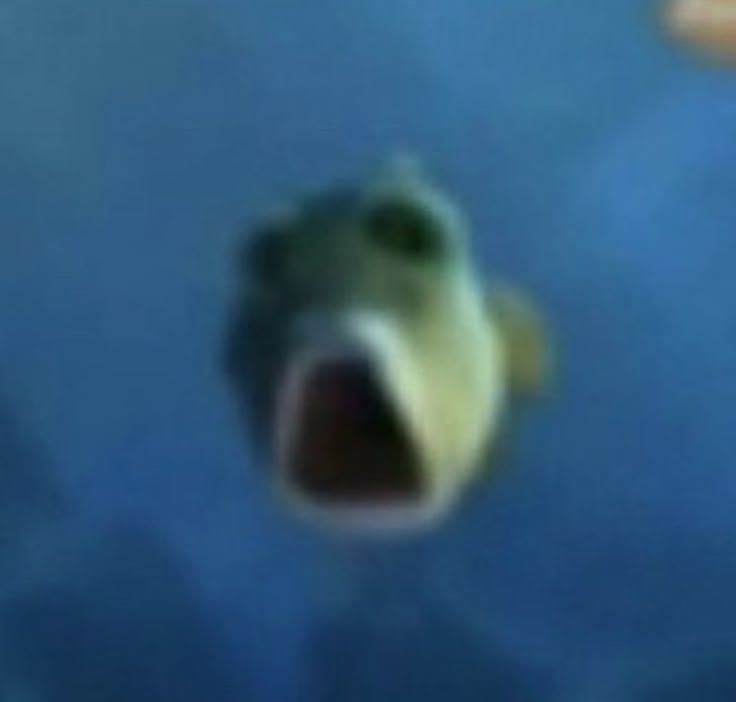 hourly_shitpost's tweet image. 