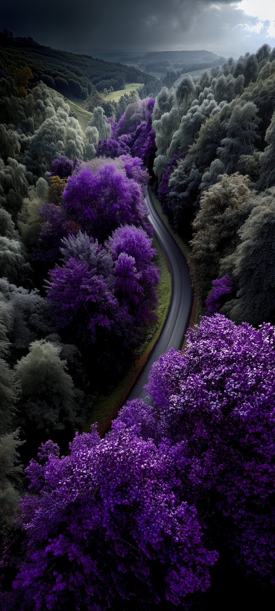 A walk in nature,
Walk the soul back home.

          Mary Davis