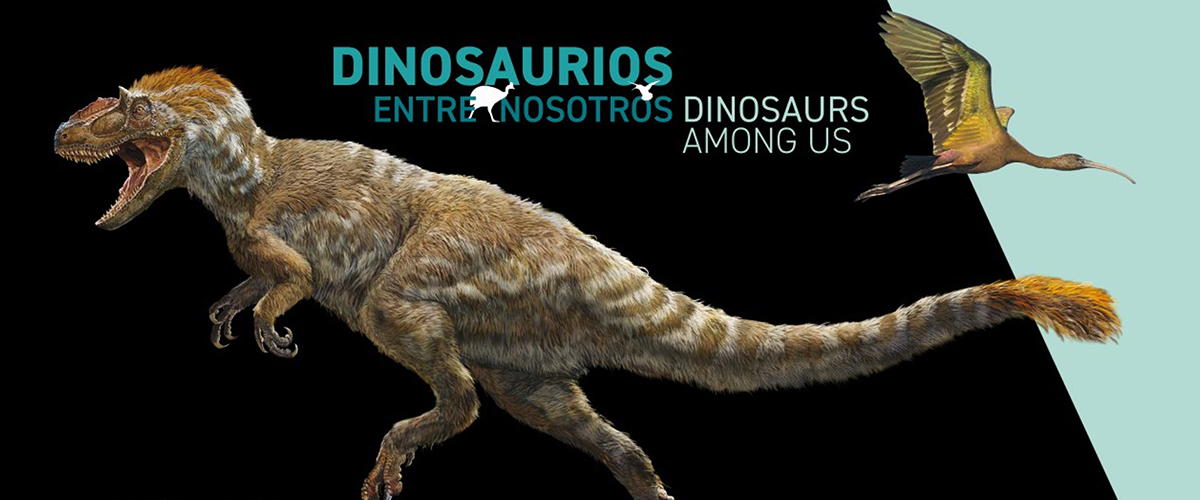 CSIC Divulga (@csicdivulga) on Twitter photo 🦕 ¿Sabías que uno de los linajes de los dinosaurios terópodos dio lugar a las más de 11.000 especies de aves que hoy pueblan el planeta? El <a href="/mncn_csic/">Museo Nacional de Ciencias Naturales</a> explica la evolución de las aves a través de la expo ‘Dinosaurios entre nosotros’.
➡️mncn.csic.es/es/Comunicaci%… 🦕 ¿Sabías que uno de los linajes de los dinosaurios terópodos dio lugar a las más de 11.000 especies de aves que hoy pueblan el planeta? El <a href="/mncn_csic/">Museo Nacional de Ciencias Naturales</a> explica la evolución de las aves a través de la expo ‘Dinosaurios entre nosotros’.
➡️mncn.csic.es/es/Comunicaci%…