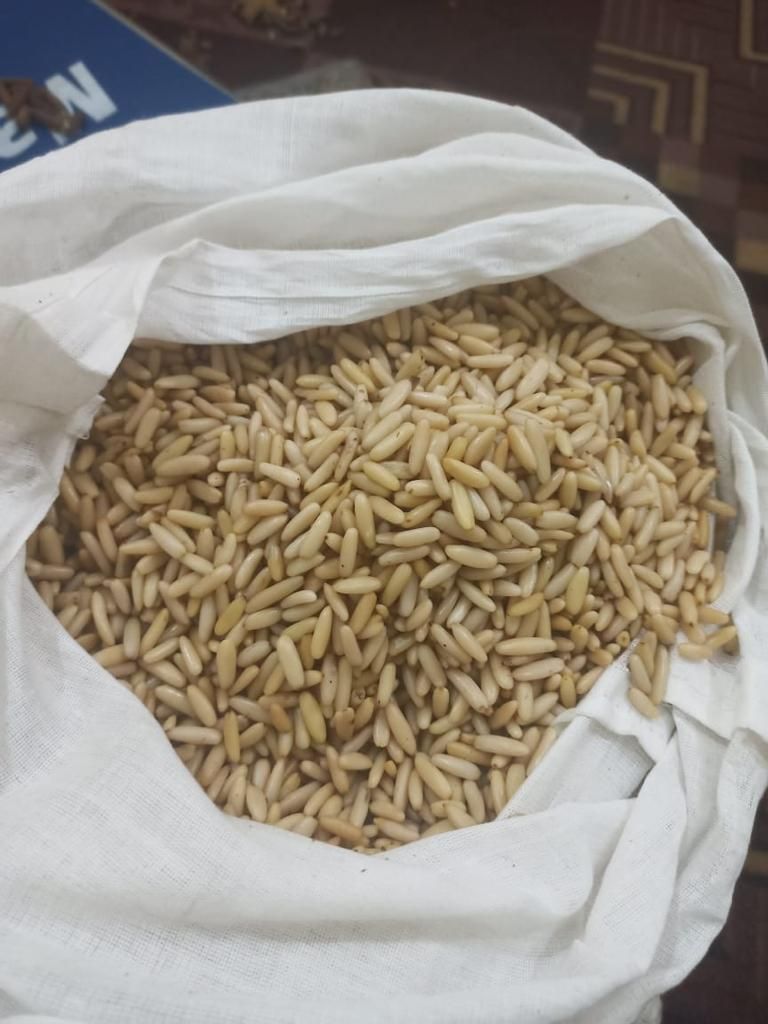 🌰 GCC &amp; European Grade Pine Nuts from A&amp;M Commodities!
✅ Clean, Aflatoxin-Free
✅ Bulk Ready | Food Grade
📍 Sourcing for UAE, KSA, Turkey, EU
📧 harish@anmcommodities.com
🌐 anmcommodities.com
📲 WhatsApp: buff.ly/g1SXTpw
#PineNuts #B2BTrade #AgroExports