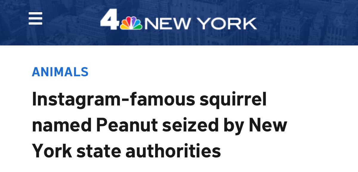 In the USA more Squirrels were arrested than people in the Epstein Case.