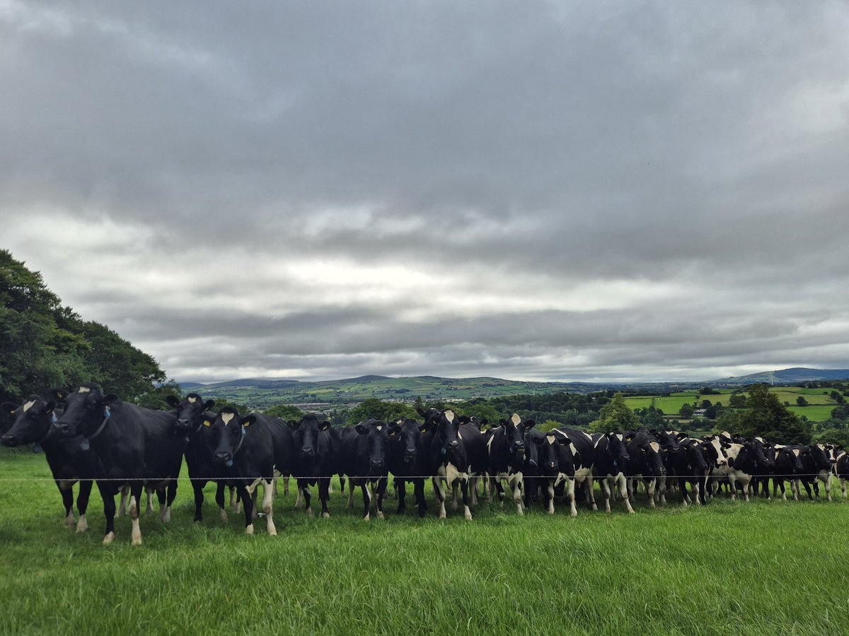 AurivoFarmProfit tweet media