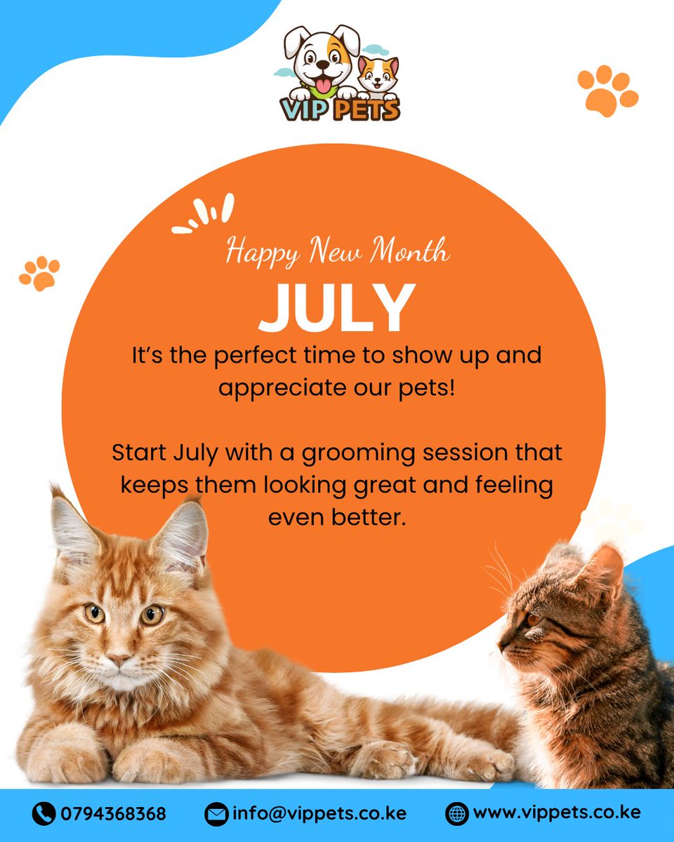 _VipPets's tweet photo. Hello July! 

A new month to celebrate the bond you share with your pet, the loyalty, the love, the little moments that mean the world.
At VIP Pets, we’re here to support you both, every step of the way. https://t.co/SXuUIhJqkK