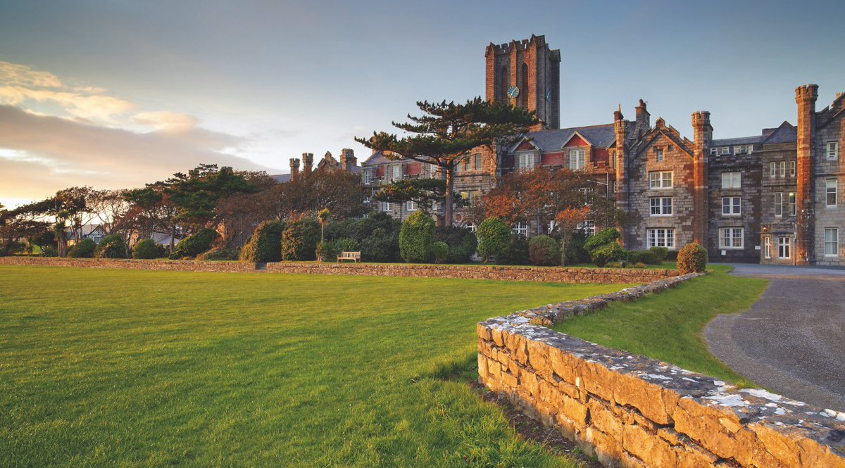 The BSA Guide tweet media