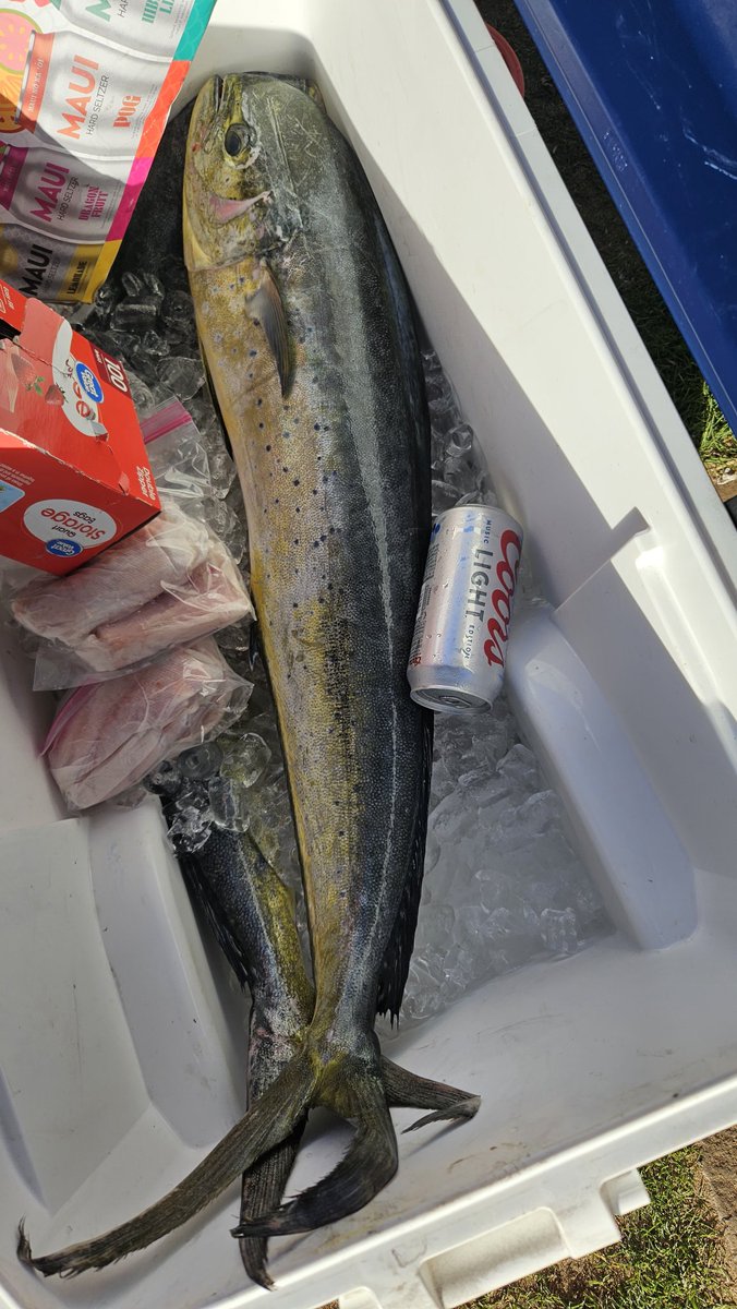 SunSunDaChild's tweet image. Catch Fish, Not Feelings.