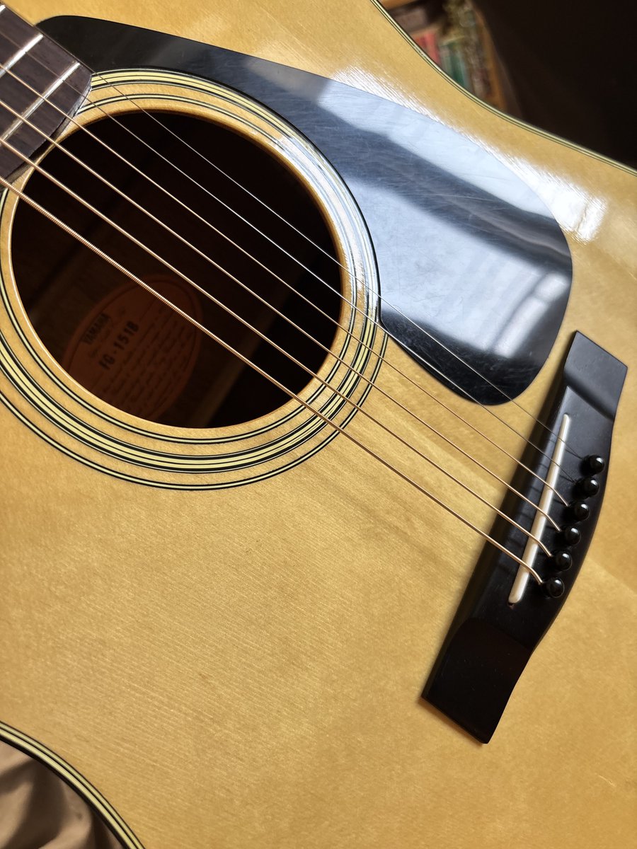 ギター始めた🎸