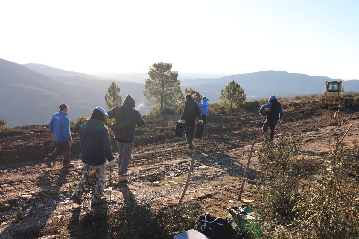 🌱 Our forest in Sierra de #Madrid keeps delivering 🌍

In just 2 months:

✅ 1,483.53 kg of CO₂ absorbed
🛫 Equivalent to 5 round trips Madrid–Paris
💧 4,334.71 L of water benefit generated

Every tree counts. Every action matters.

#ClimateAction #Reforestation #Sustainability