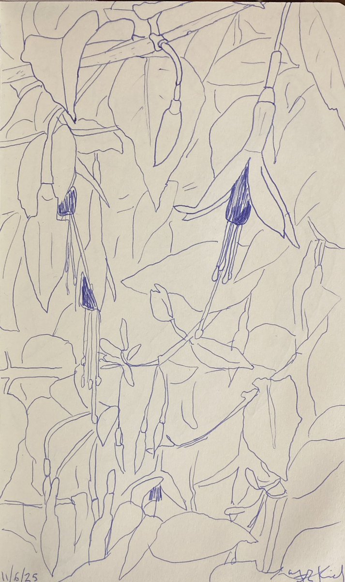 Today’s #sketch from 11/6/25 of #Nature #ballpoint #Pen #Drawing 21.5 x 13.5 cms  on paper

More sketches
instagram.com/frankkiely/