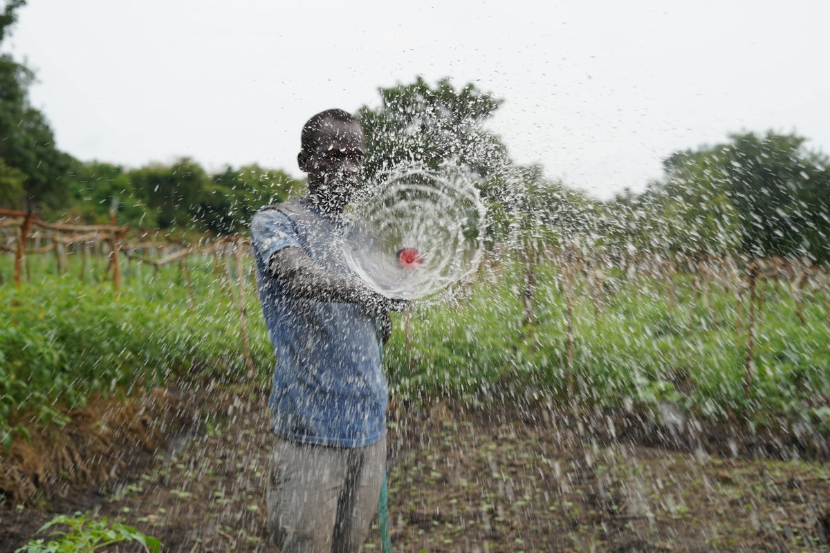 WFPInnovation's tweet image. 🌍 Innovation drives impact at @WFPUganda — transforming #FoodSystems with support from WFP's #IGNITEInnovation Hub. 🚀
From solar-powered irrigation to backyard gardens via #NutriCash, WFP Uganda is scaling smart, local solutions. Learn more - buff.ly/e4IqKbd
