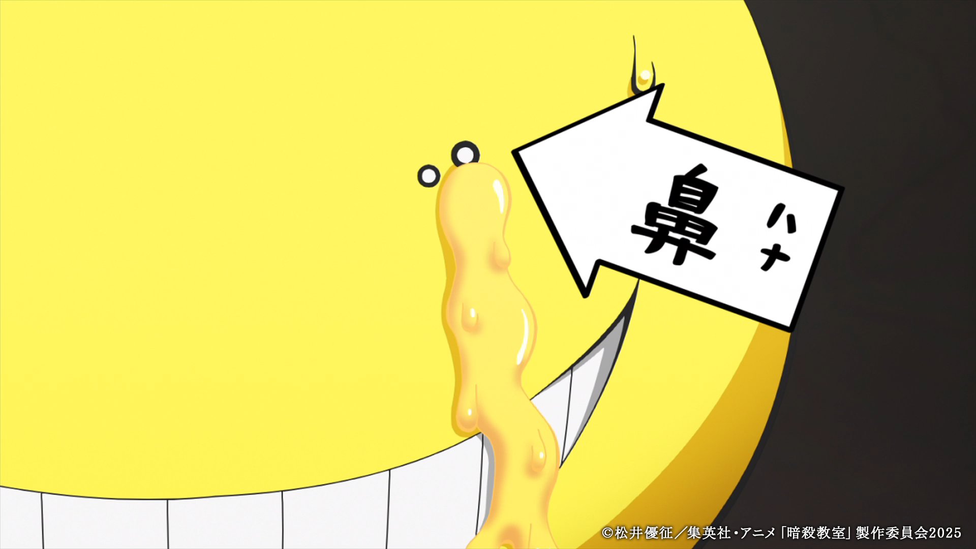 D.Gray-man/ハイキュー/暗殺教室(注:巻抜けあり) D.Gray-man/ハイキュー/暗殺教室(注:巻抜けあり) D.Gray-man