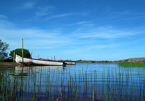 welovedonegal's tweet photo. Good #Wednesday 9th #July morning from
beautiful #Donegal ๐๐
Today's #GoodMorning pic is of fishing boats on Loch Mile/Lough Meela in The Rosses.
#fishings #boats #nature
#peaceful #calm #lakes #water
#Ireland .
@ThePhotoHour https://t.co/fEJrHnOXTh