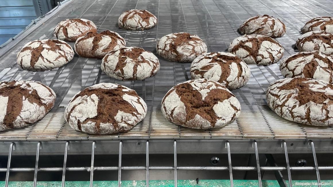 🍞 ValueGrain startet Pilotprojekt mit Großbäckerei

Das Start-up hat seine erste mobile Produktionsanlage zur Herstellung von „flüssigem Mehl“ aus Biertreber fertiggestellt. Mit einer Großbäckerei in Bayern wird es nun getestet.

Alle Hintergründe hier: 
biooekonomie.de/nachrichten/ne…