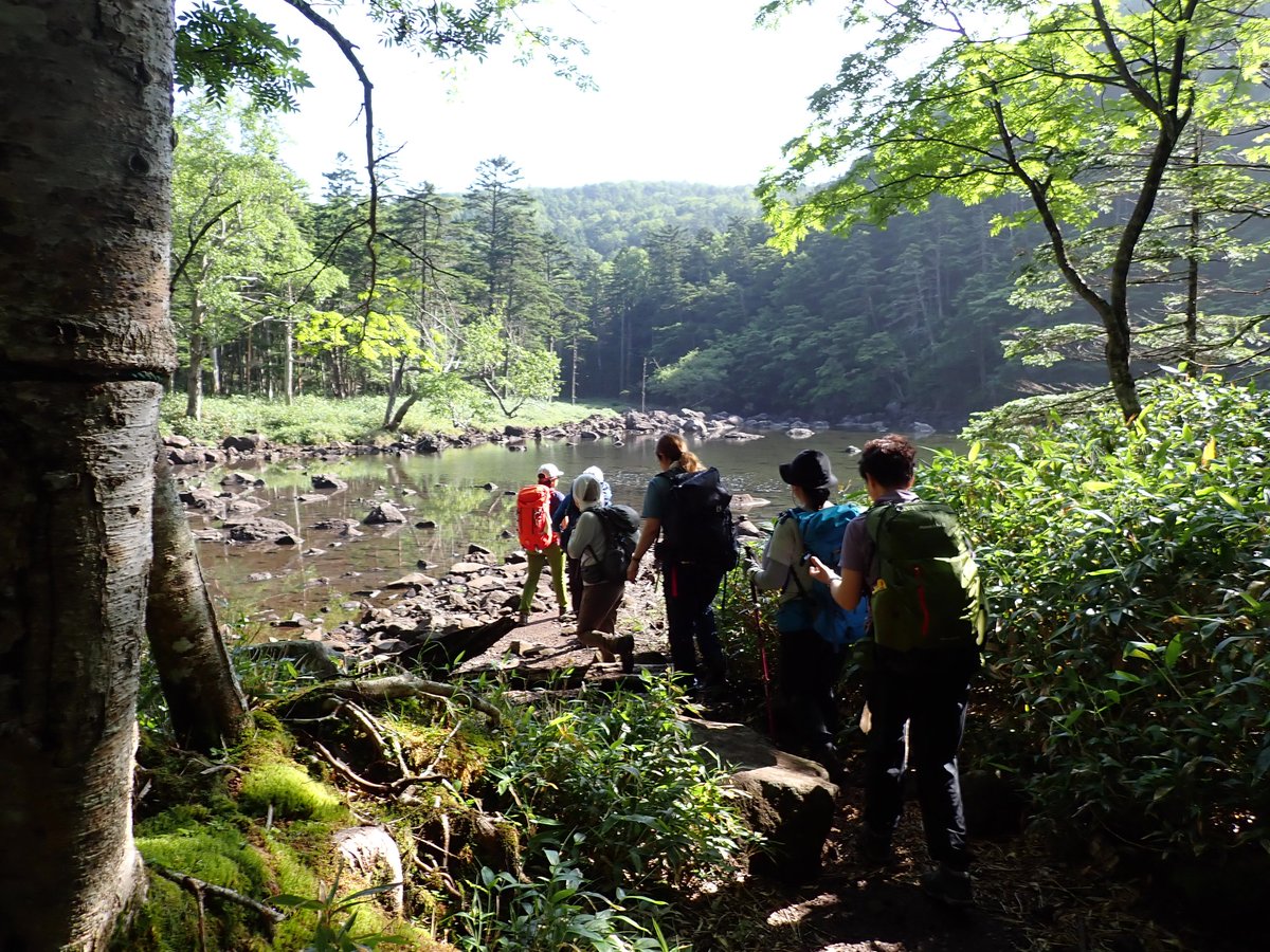 ZMzfIxQoXfpepbt's tweet photo. 森林高地の北八ヶ岳は、その中に小さな池、湖を隠し持っています。北横岳下の七つ池、原生林の中の亀甲池、二つの湖からなる双子池、大きな明るい雨池。一日をかけてまわりました。 https://t.co/oRsB2FY8hK