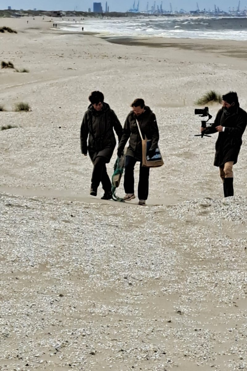 Heleen Verduijn tweet media