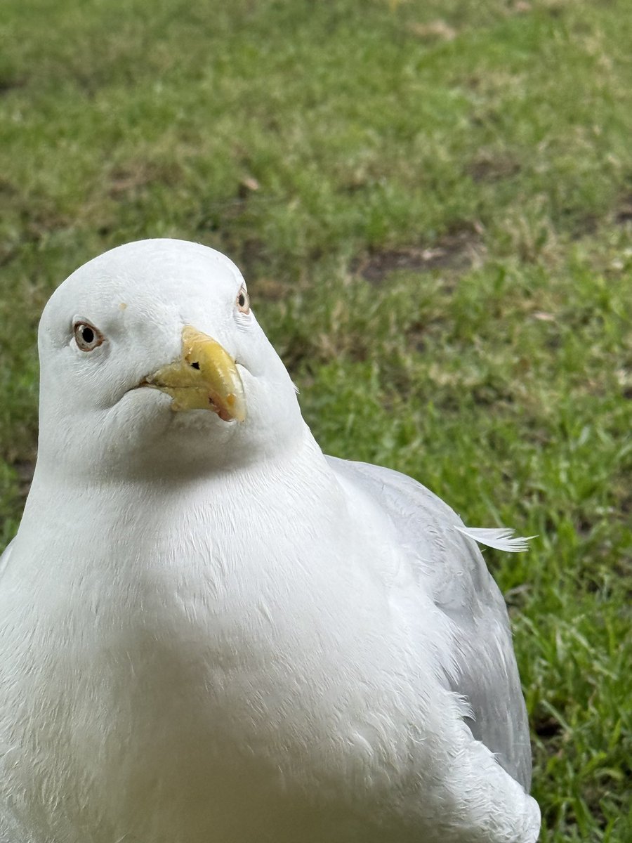 “Muri, uztaisam bildi kā vecajos laikos. Neskaties kamerā”