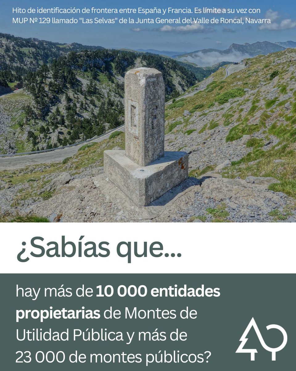 ¿Sabías que hay más de 10 000 entidades propietarias de Montes de Utilidad Pública y más de 23 000 de montes públicos?

<a href="/FBiodiversidad/">Fundación Biodiversidad</a> 

#ProyectosPRTR #PlanDeRecuperación #Sabíasque_REMP #REMP #MUP
