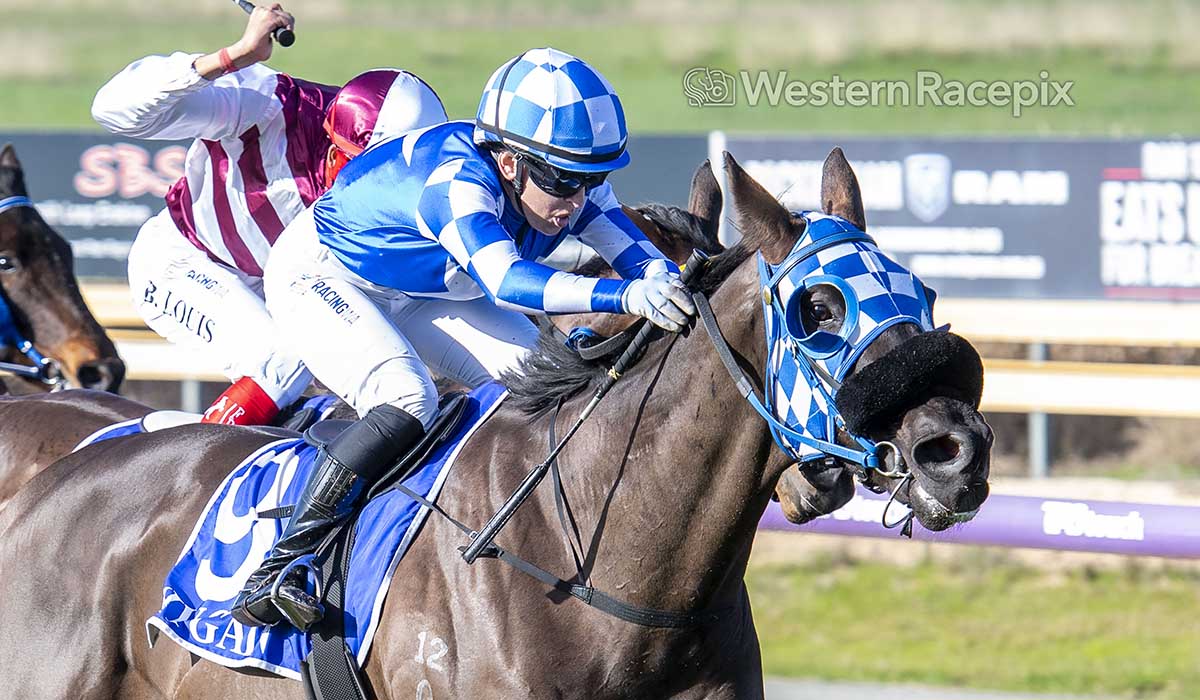 Western Racepix (@westernracepix) on Twitter photo BE AWESOME - Pinjarra Wed 9th July <a href="/PinjarraPark/">Pinjarra Park</a> #WesternRacepix #PinjarraRaces
More 📷 westernracepix.com BE AWESOME - Pinjarra Wed 9th July <a href="/PinjarraPark/">Pinjarra Park</a> #WesternRacepix #PinjarraRaces
More 📷 westernracepix.com