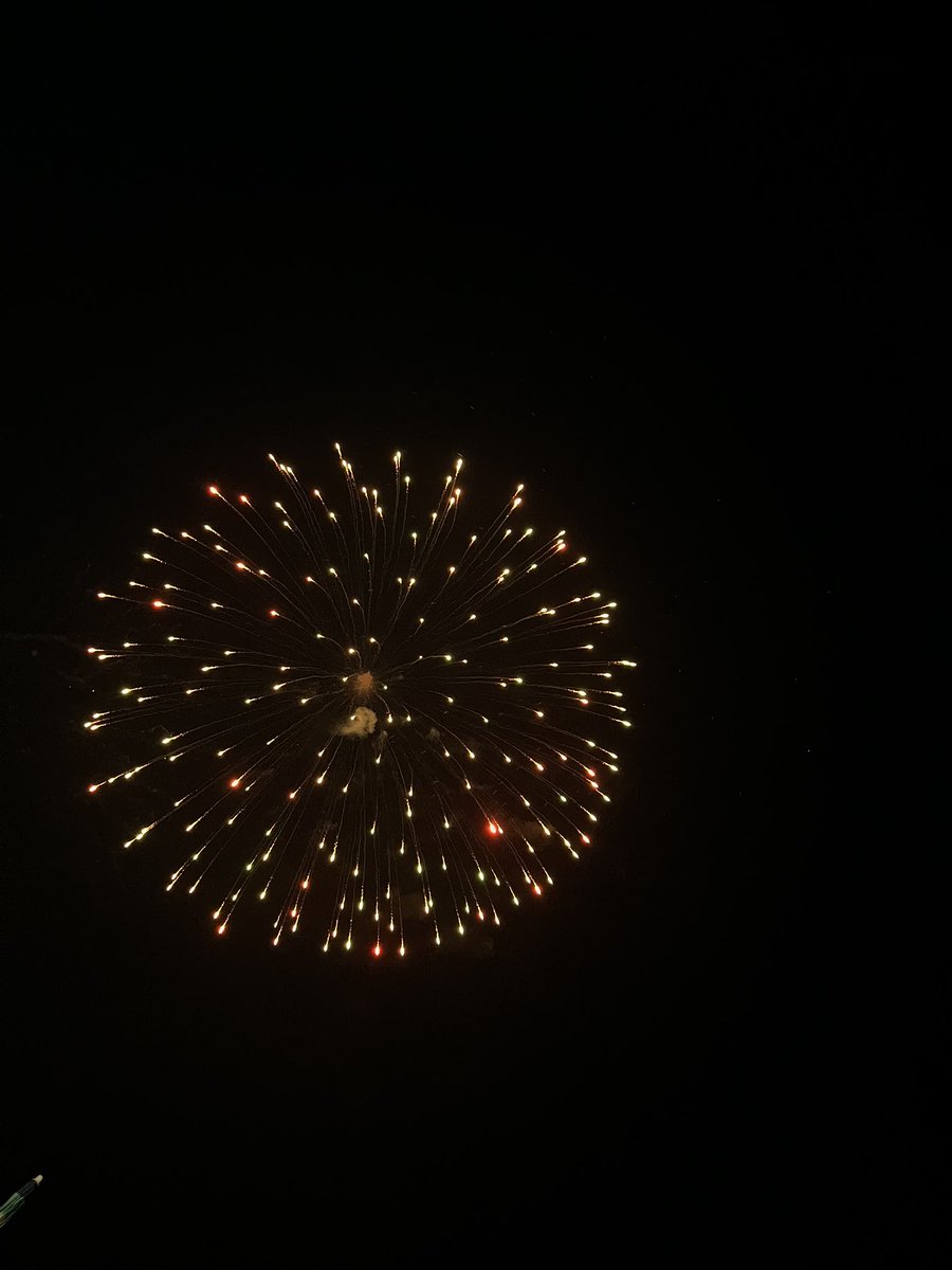 Summer’s been great 😽🌞