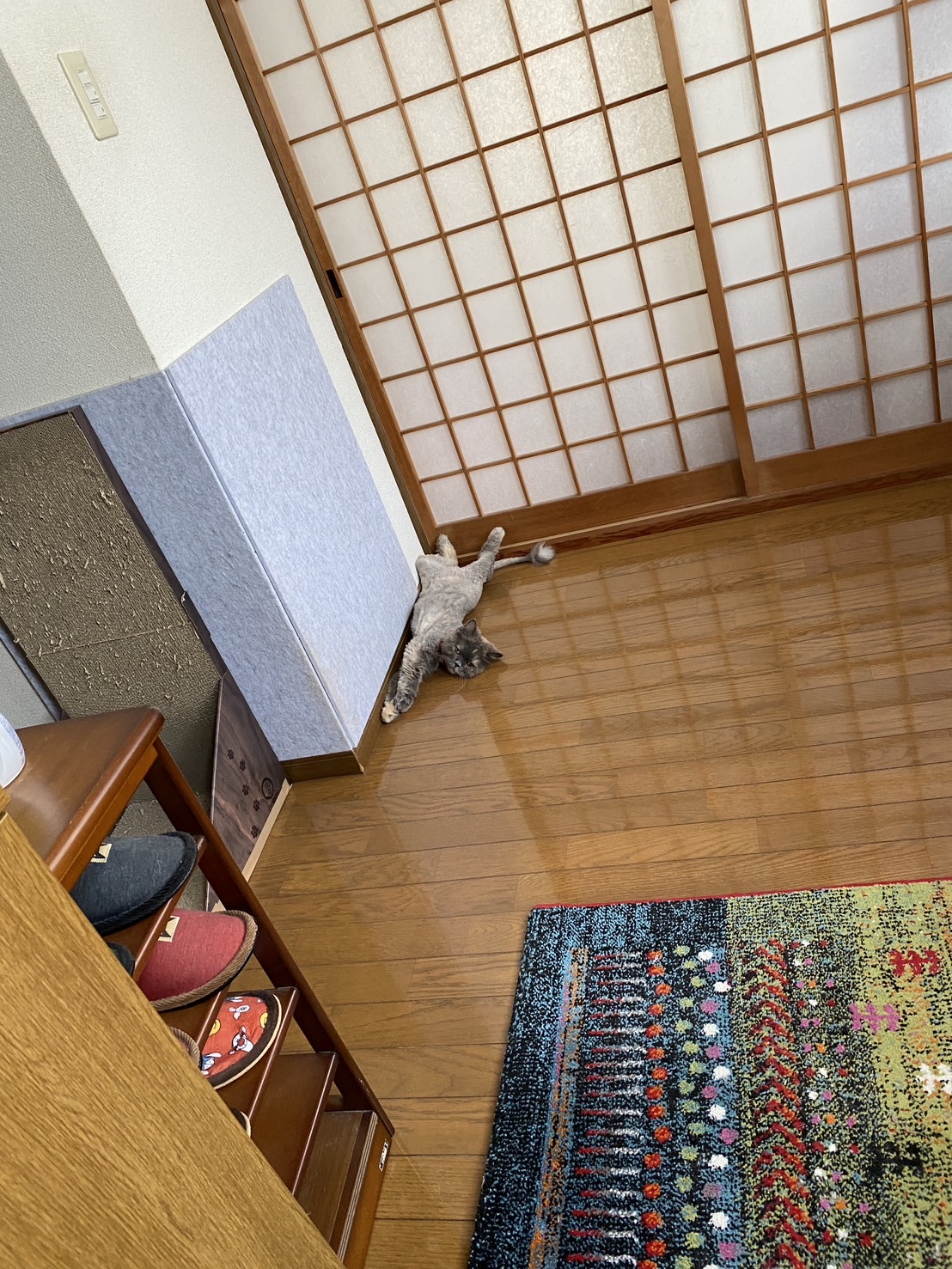 Pちゃん (@pchan_ny3) / X