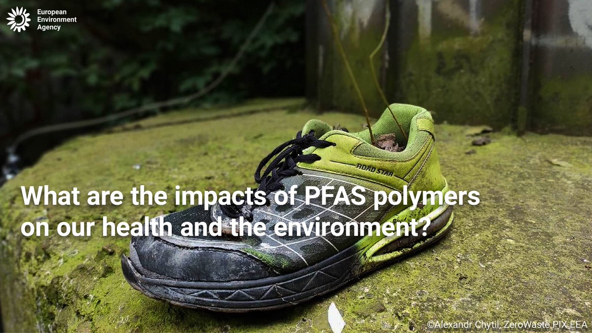 EUEnvironment's tweet image. #PFAS polymers - used in 🧥 textiles 🧴 cosmetics & 💻 electronics - may contribute to toxic pollution, climate change, and ozone depletion at different stages of their lifecycles.
🔍 Check out our recent study: eu1.hubs.ly/H0lCbBw0
#Chemicals #Sustainability #CircularEconomy