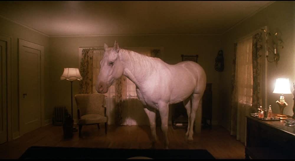 got excited about smth that didn’t work out