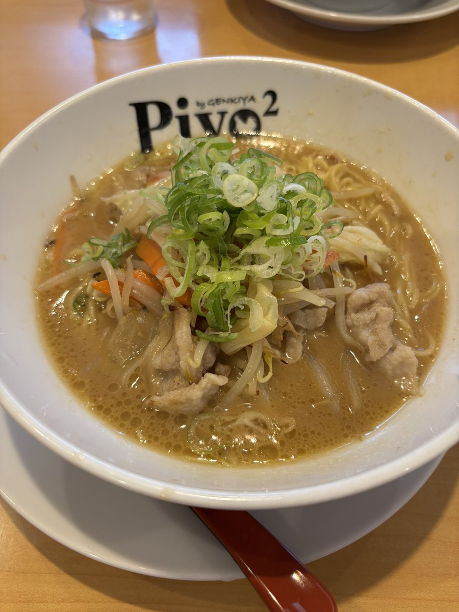 暑すぎるからパパっと昼飯食って即帰宅
味噌タンメン濃すぎて枯渇BBAなるけどアチアチでうまい