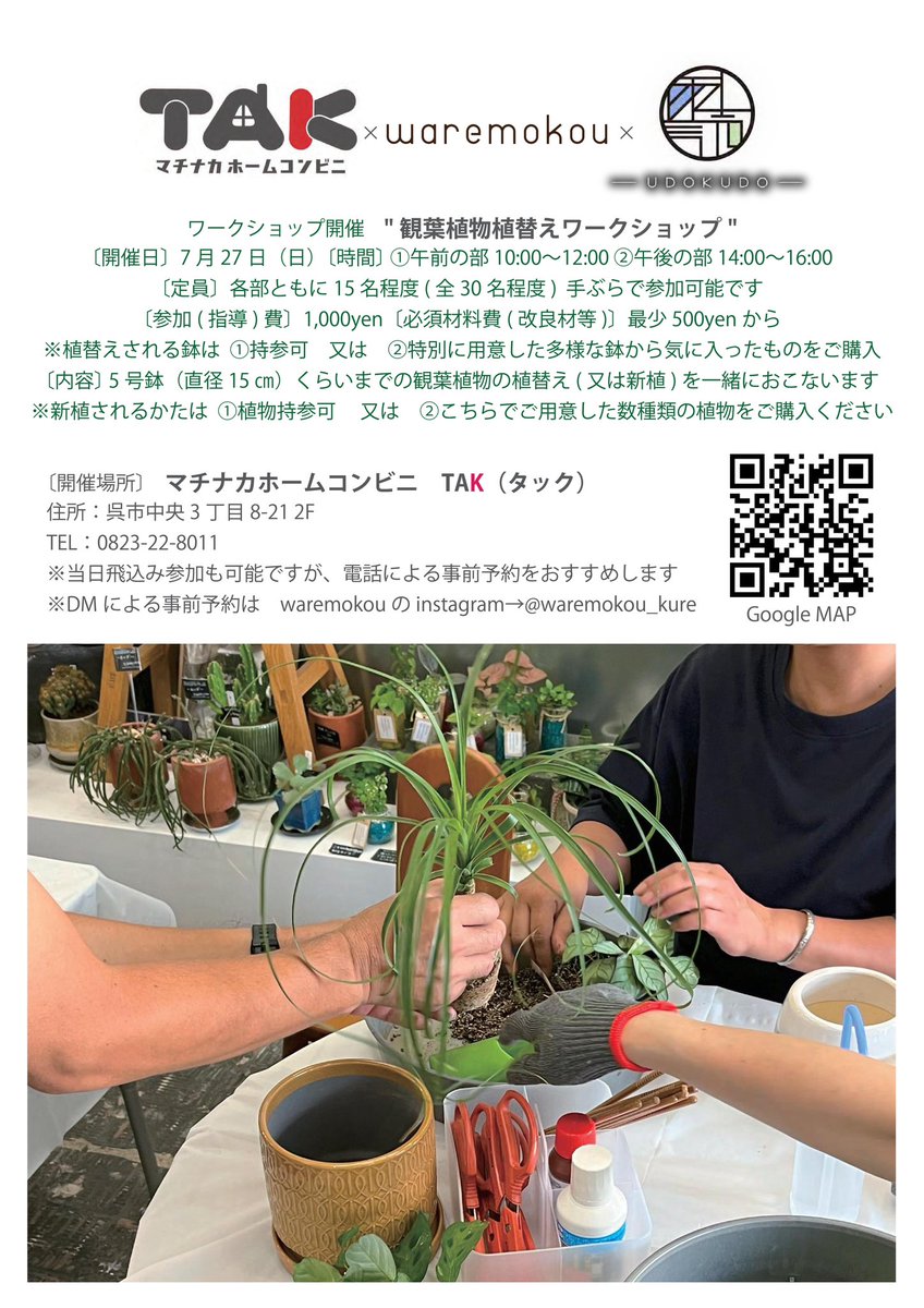 DaimoReform's tweet photo. マチナカホームコンビニＴＡＫより、観葉植物植え替えワークショップのお知らせです🌴
ご予約はＴＡ���直通☎️0823-22-8011🪴もしくは
waremokouのインスタグラム＠waremokou_kureよりDMで🌵 https://t.co/H7YPIStToe