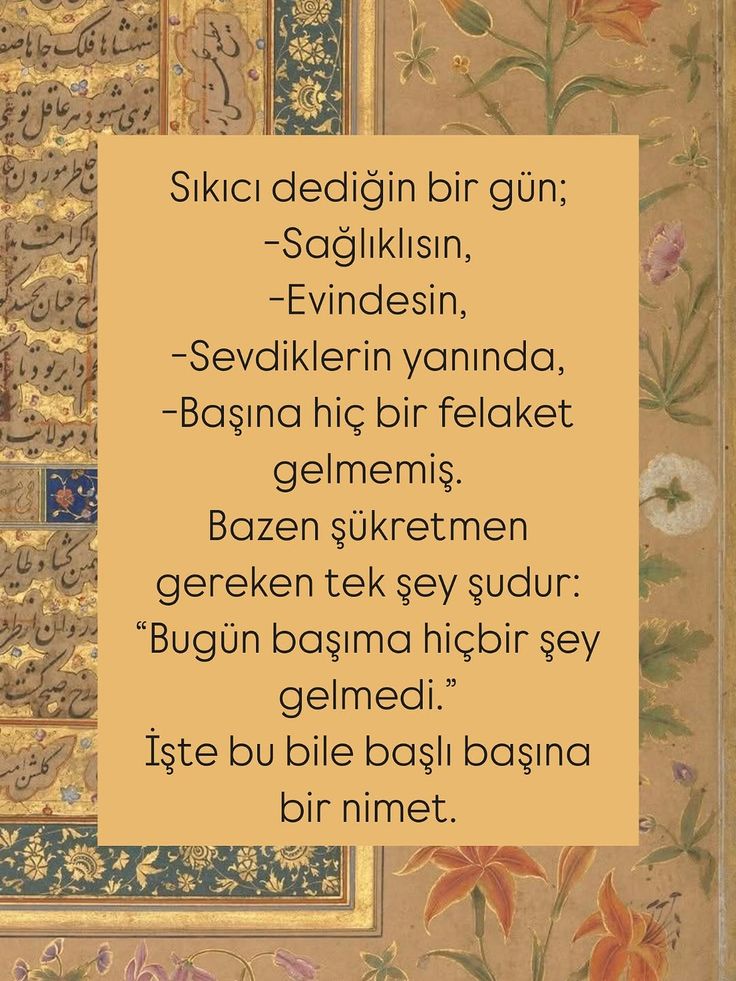 UZİ (@gazatr) on Twitter photo 