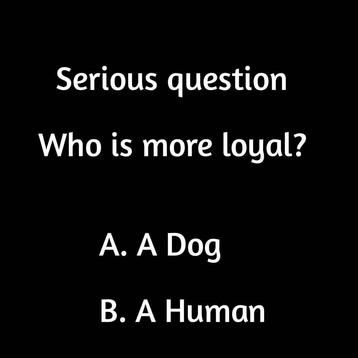 Who is more loyal?