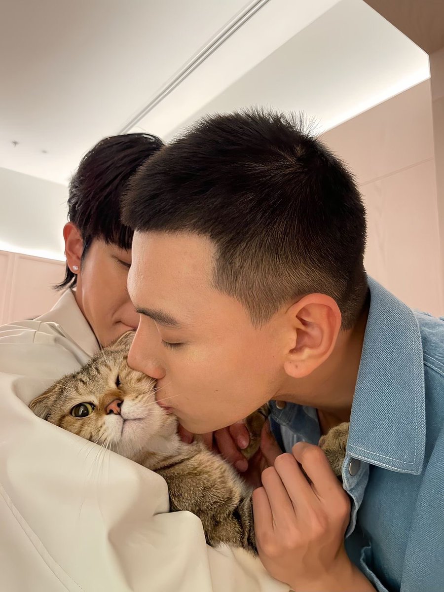 can we get more ouroad cat content 😞