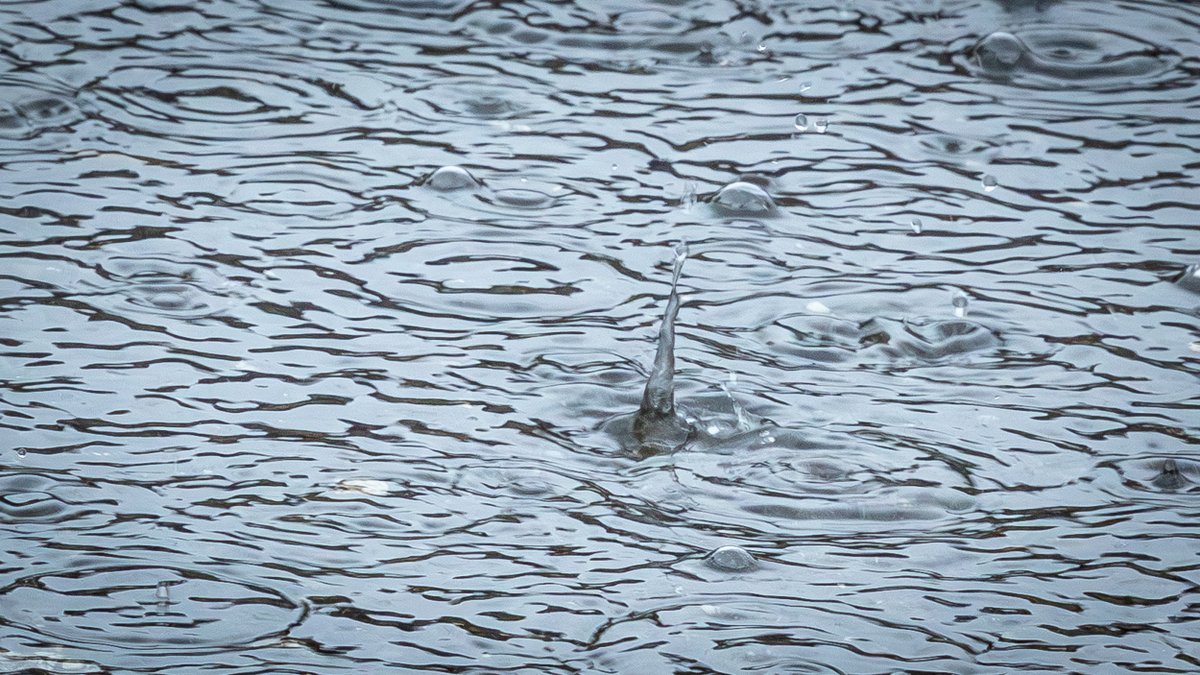 Zaplaťpánbůh 🙏, že se meteorologové tentokrát trochu sekli 🌦️, velká voda nepřišla 🌊❌ a nejspíš v následujících dnech ani nepřijde 📉. Za poslední 2 dny napadlo v Moravskoslezském kraji 50 mm srážek 🌧️, to znamená 50 litrů vody na metr čtvereční. Stejné množství má ještě