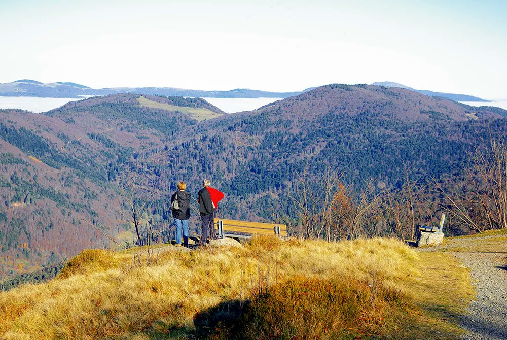 NOUVEAU sur Substack: monalsacelorraine.substack.com/p/les-ballons-…
Les Ballons des Vosges : entre rondeurs paisibles et mystères millénaires [2e Partie]