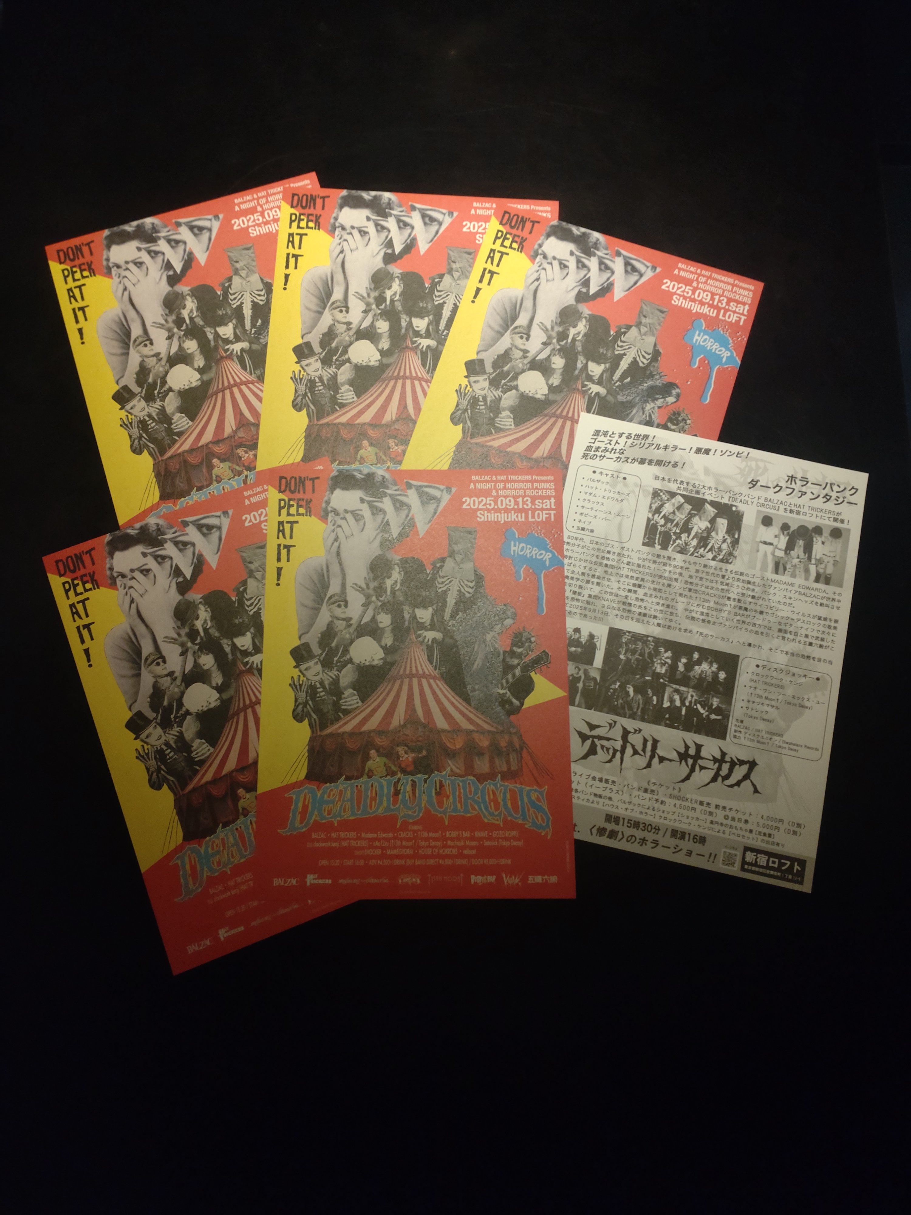 新品 DEADLOCK ILLUSTRATIONS 発売記念全員サービス小冊子