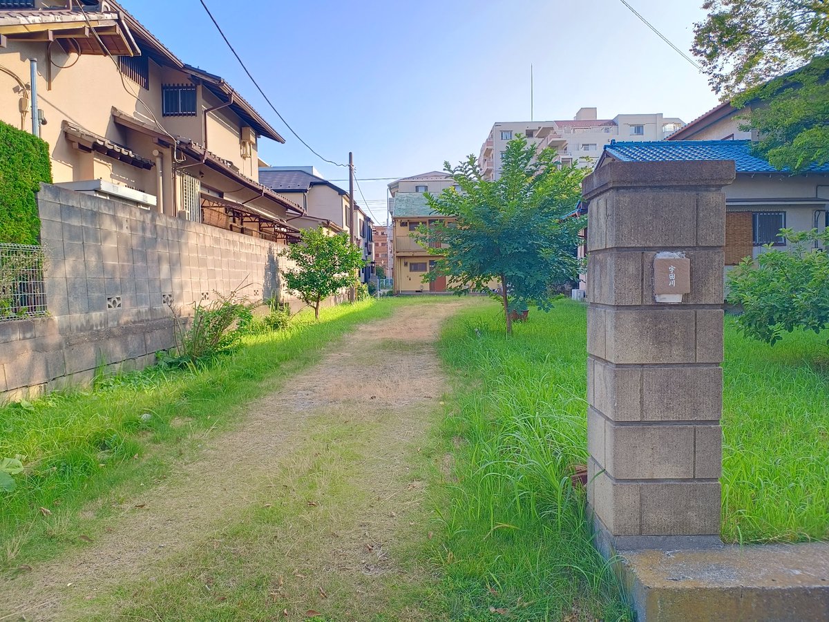 tkimura53007's tweet image. 宇田川なう（違）。