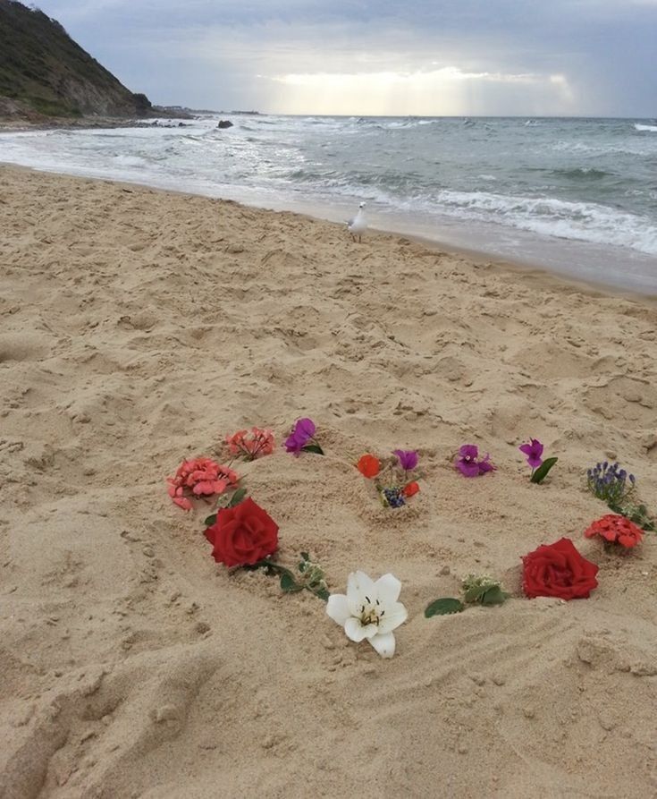TERI78955833693's tweet image. "Nunca te olvides de las cosas que soñabas cuando todavía no sabías lo difícil que era el mundo."
🌸
#BonitoMiercoles