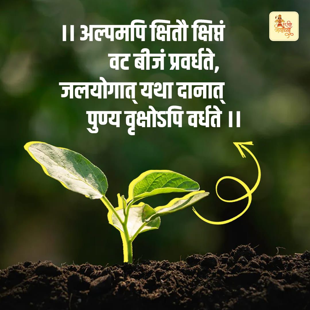 पेड़ का हर तना अब मां की छाया जैसा लगता है।
#एक_पेड़_मां_के_नाम
